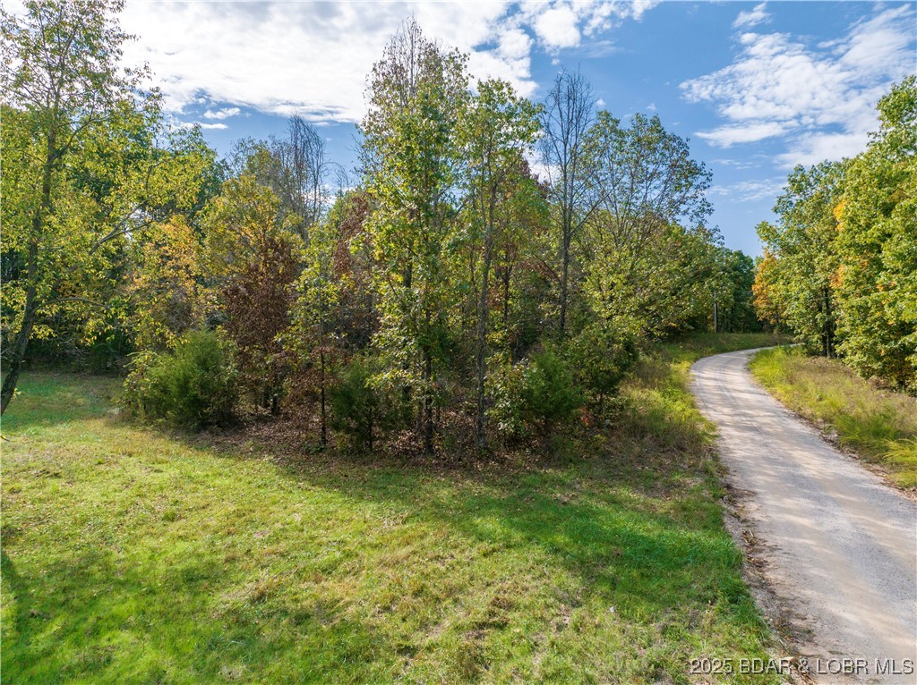 Coffey Hollow Road Macks Creek, MO 65786 - Photo 18 of 21