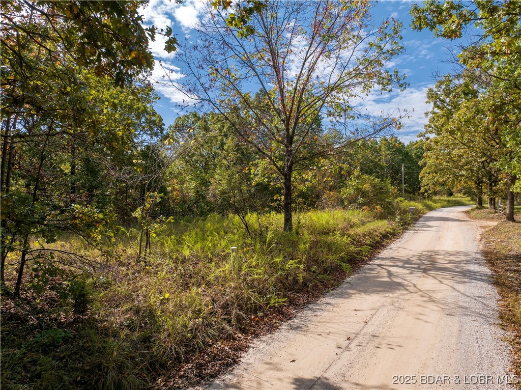 Coffey Hollow Road Macks Creek, MO 65786 - Photo 19 of 21