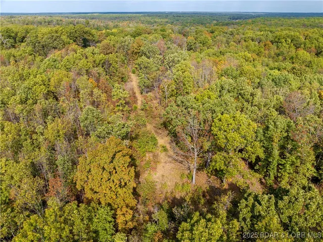 $90,000 | Coffey Hollow Road, Macks Creek, MO 65786