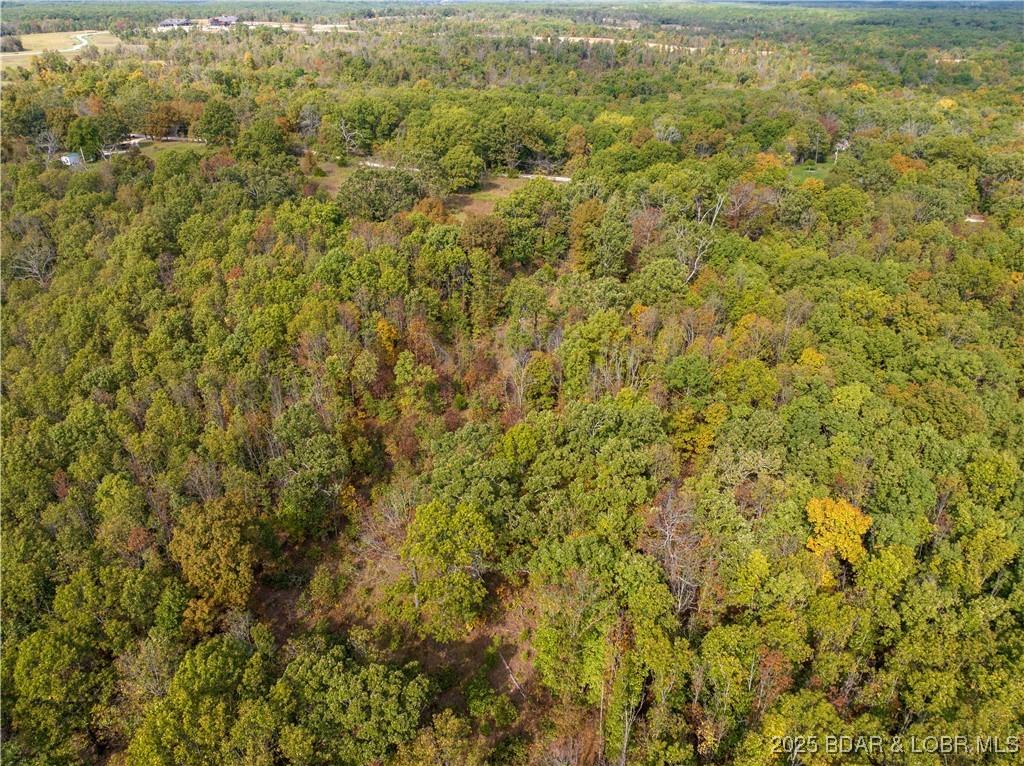 Coffey Hollow Road Macks Creek, MO 65786 - Photo 21 of 21