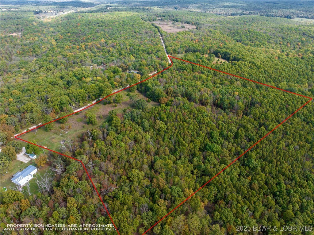 Coffey Hollow Road Macks Creek, MO 65786 - Photo 3 of 21 Approximate Aerial Survey