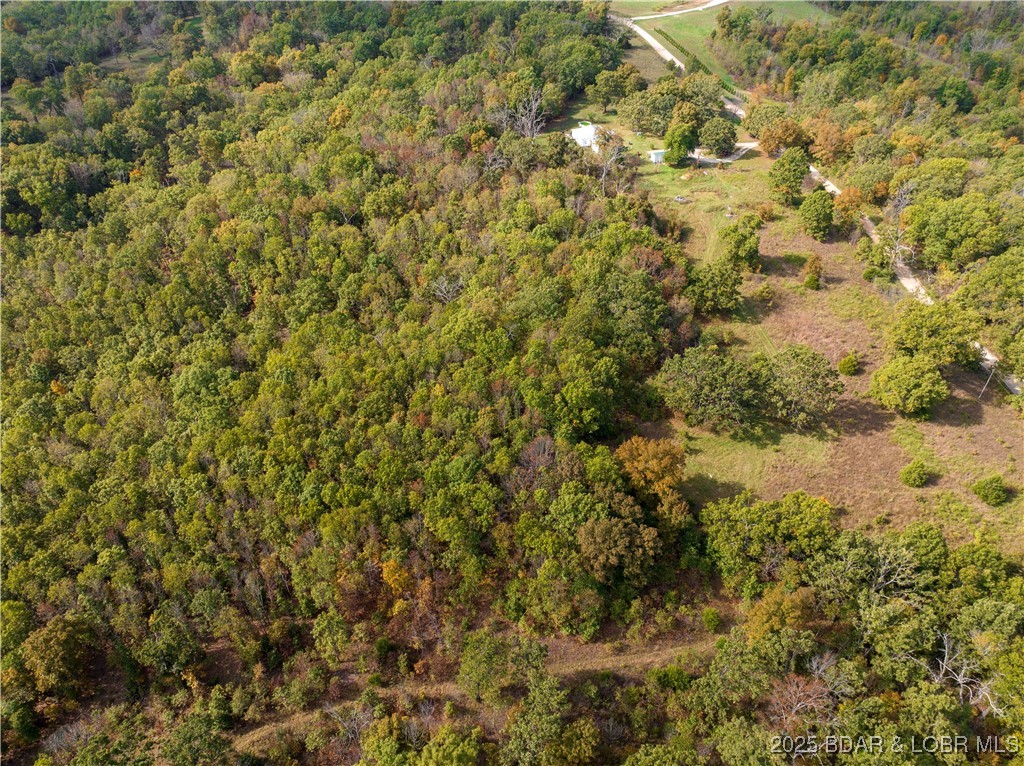 Coffey Hollow Road Macks Creek, MO 65786 - Photo 5 of 21 Wooded and Open Acreage