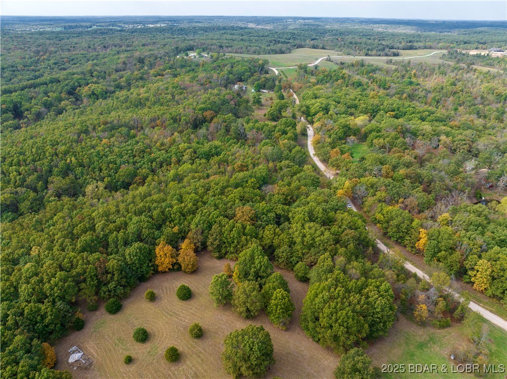 Coffey Hollow Road Macks Creek, MO 65786 - Photo 10 of 21