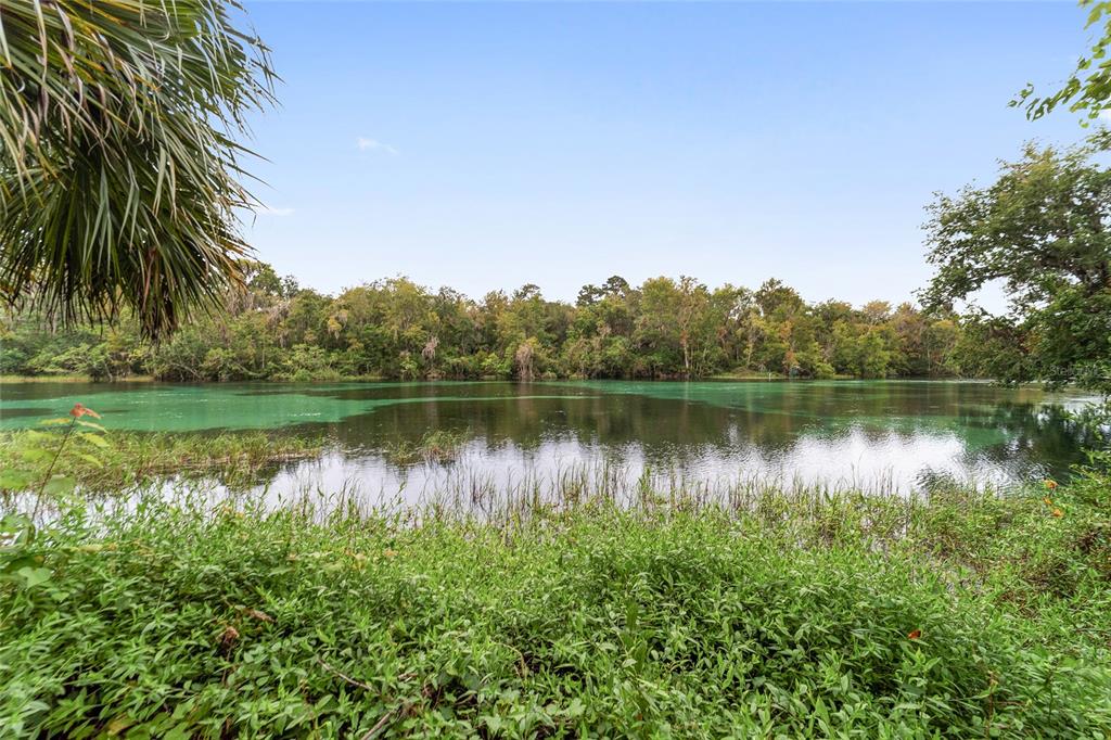 0 Southwest 102nd Street Road Dunnellon, FL 34431 - Photo 18 of 20 Gallery Image 18