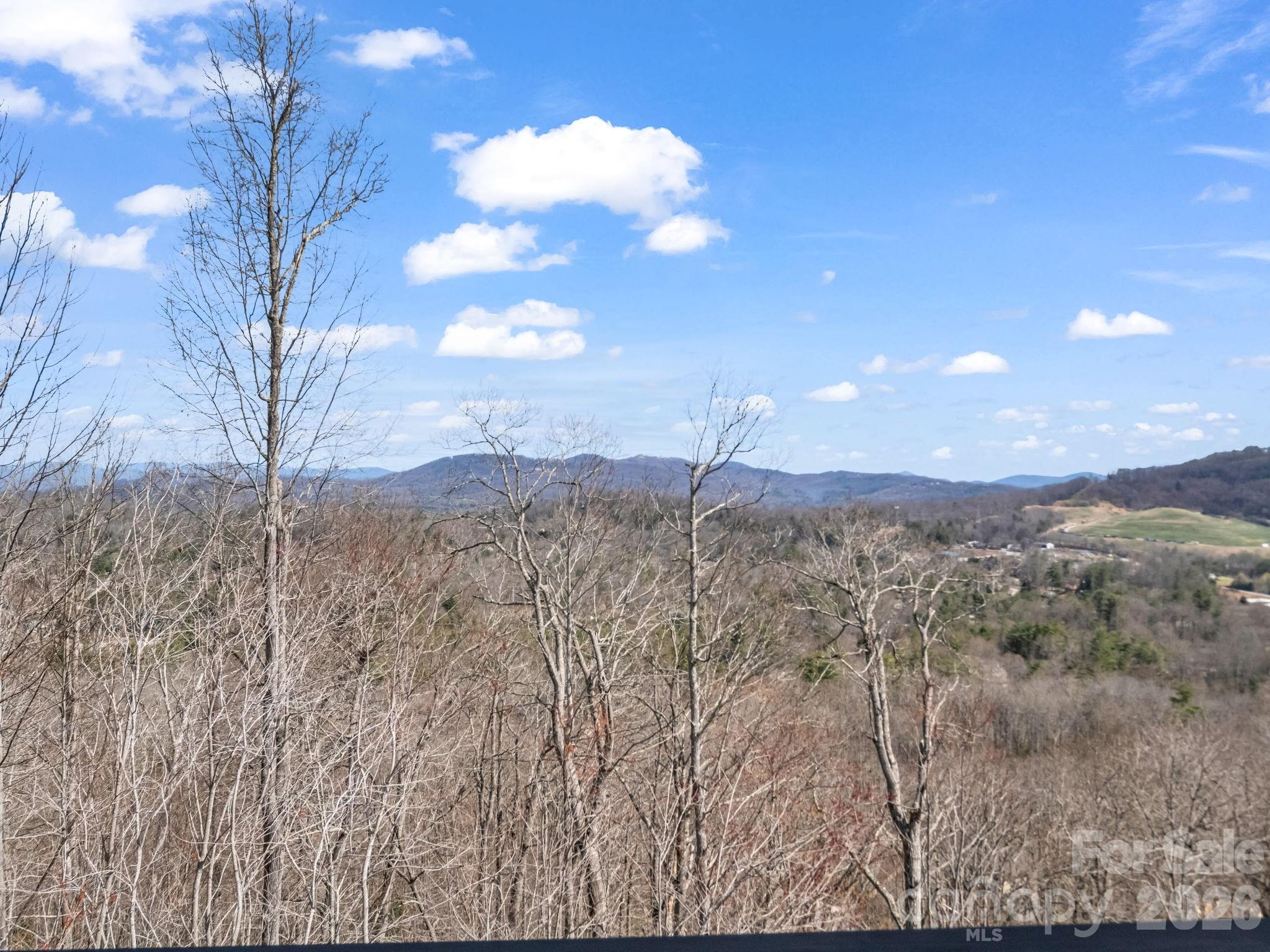 90 Summit Hill Road Hendersonville, NC 28791 - Photo 43 of 48