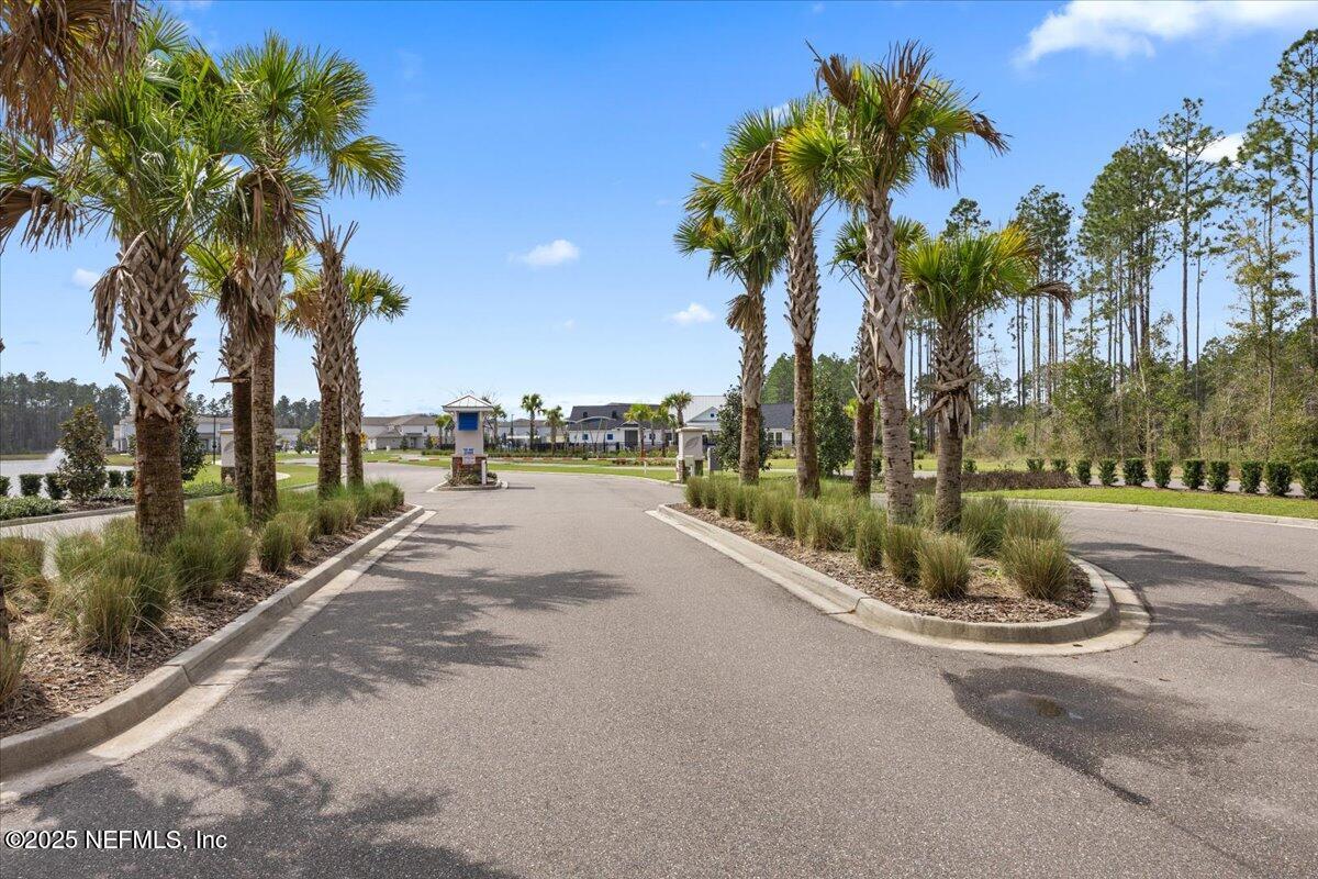 48 Barley Street St. Augustine, FL 32092 - Photo 20 of 24 a view of a street with a yard and palm trees