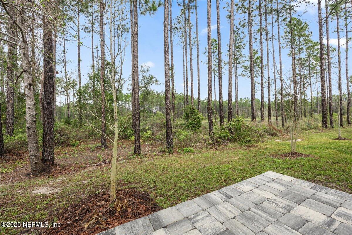 48 Barley Street St. Augustine, FL 32092 - Photo 9 of 24 a view of backyard with green space