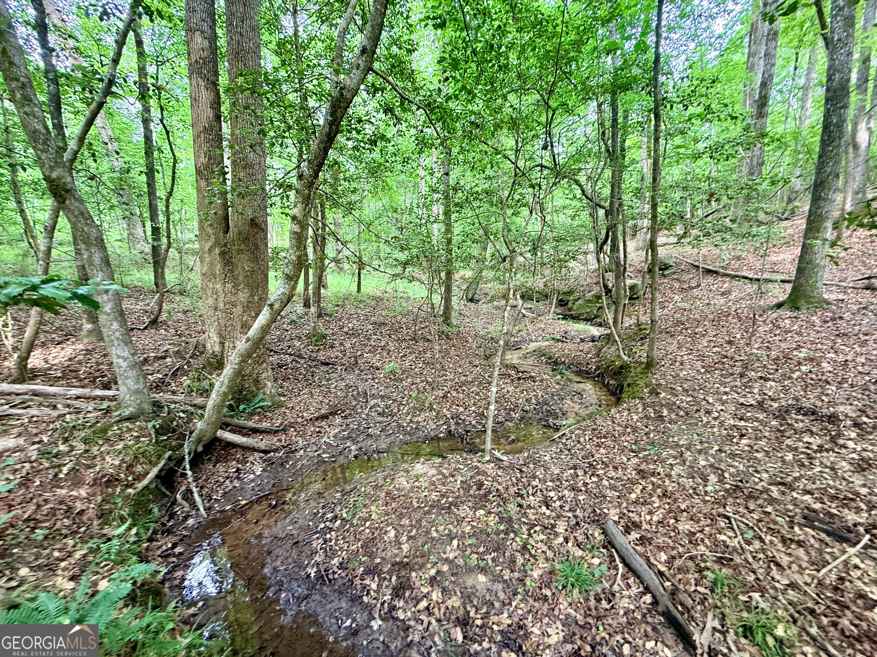715 Fulsome Creek Road Sparta, GA 31087 - Photo 75 of 117
