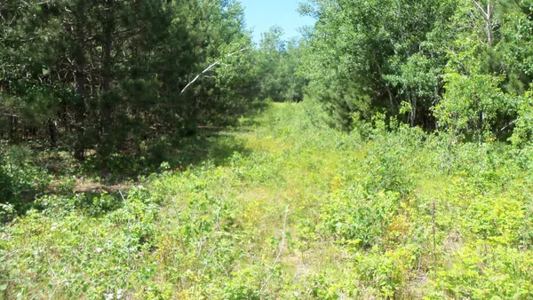$27,900 | Lot 10 Maple Lane, Siren, WI 54872