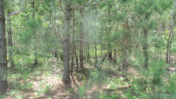 $27,900 | Lot 10 Maple Lane, Siren, WI 54872
