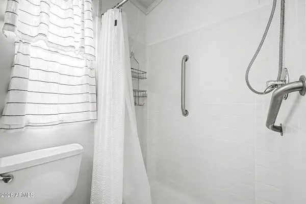 a bathroom with a shower and a toilet
