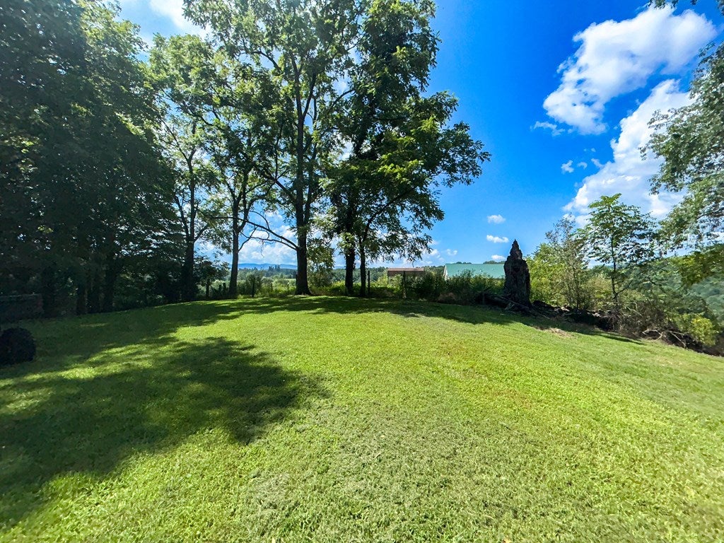 26-acres Tobler Road Rural Retreat, VA 24368 - Photo 3 of 60 Gallery Image 3