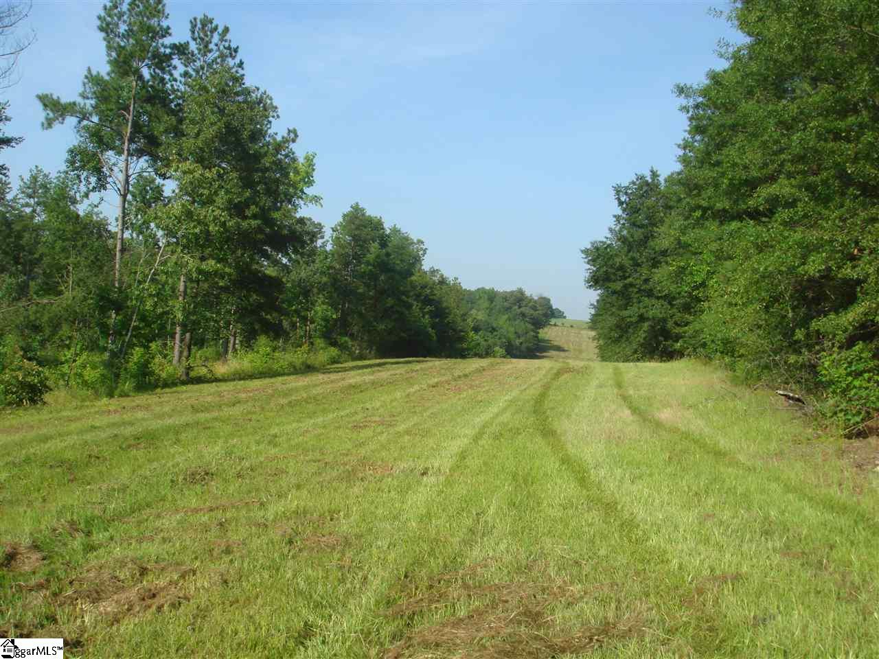 205 New Harrison Bridge Road Simpsonville, SC 29680 - Photo 2 of 10