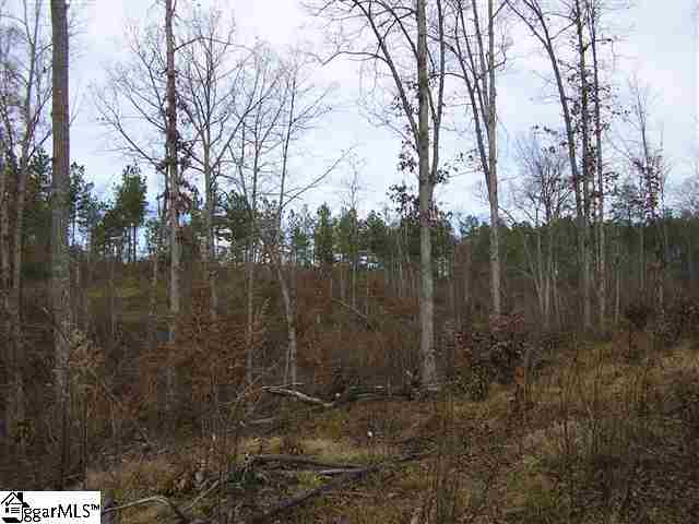 205 New Harrison Bridge Road Simpsonville, SC 29680 - Photo 6 of 10