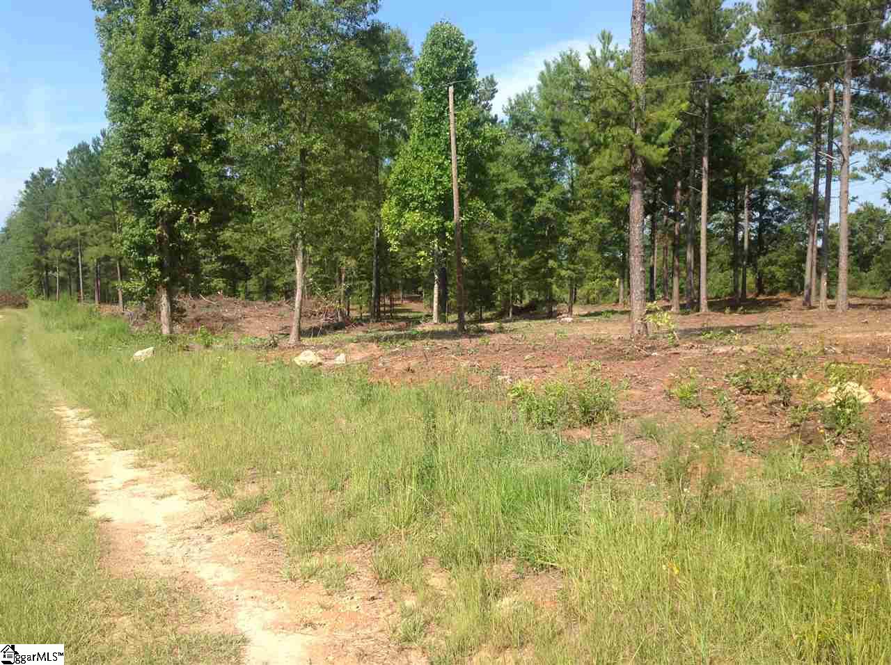 205 New Harrison Bridge Road Simpsonville, SC 29680 - Photo 8 of 10
