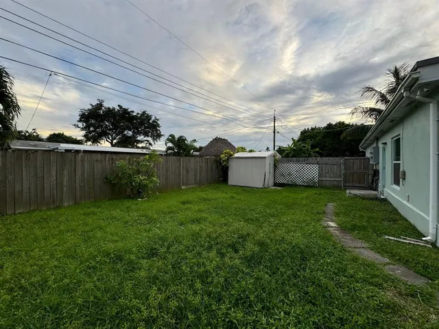 a view of a backyard with plants and a large tree
