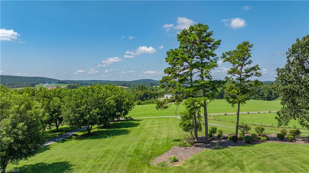 6350 Roscoe Road Denton, NC 27239 - Photo 42 of 50