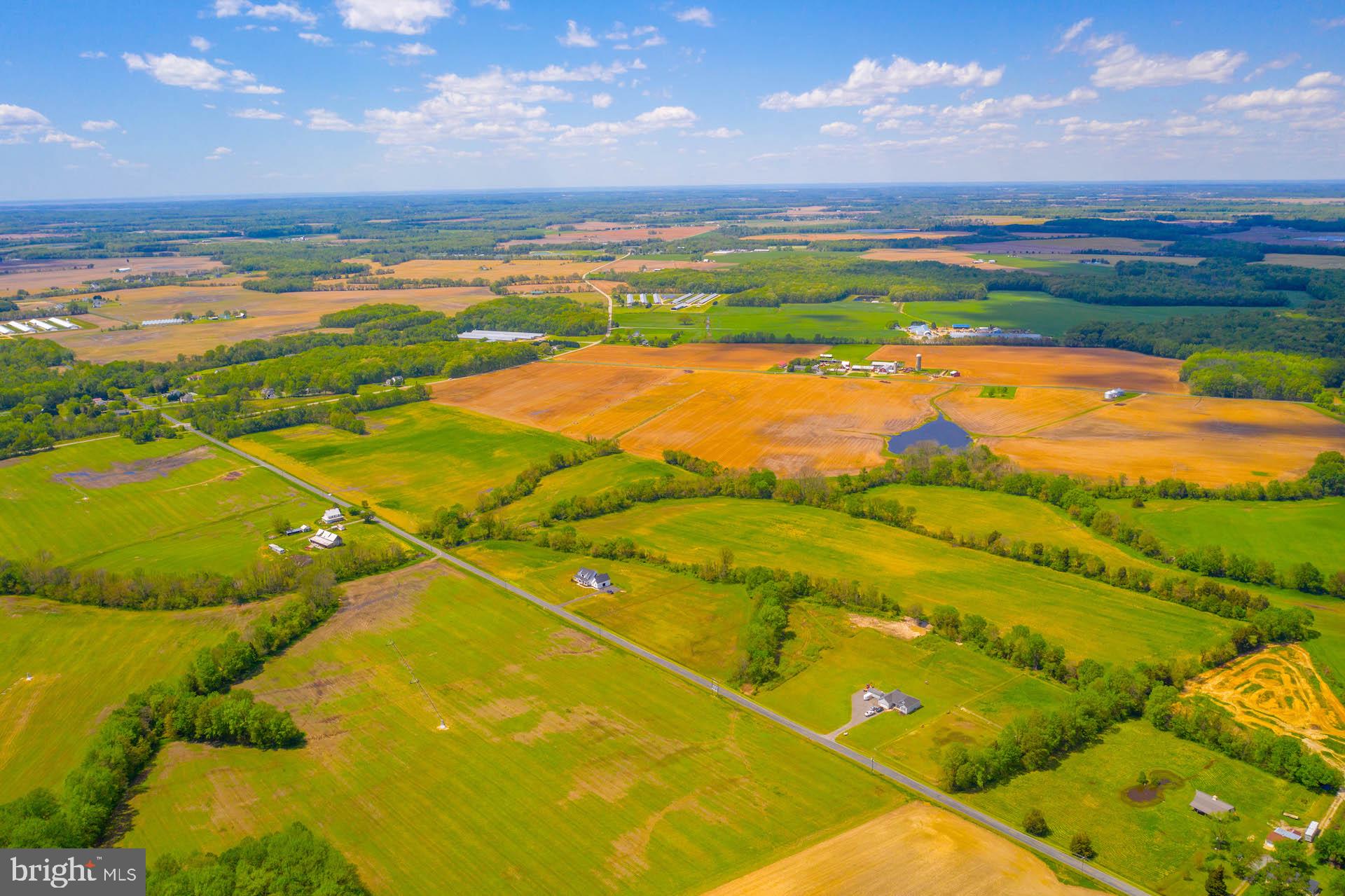 Lot 4 Murphy Road Centreville, MD 21617 - Photo 11 of 19 Gallery Image 11