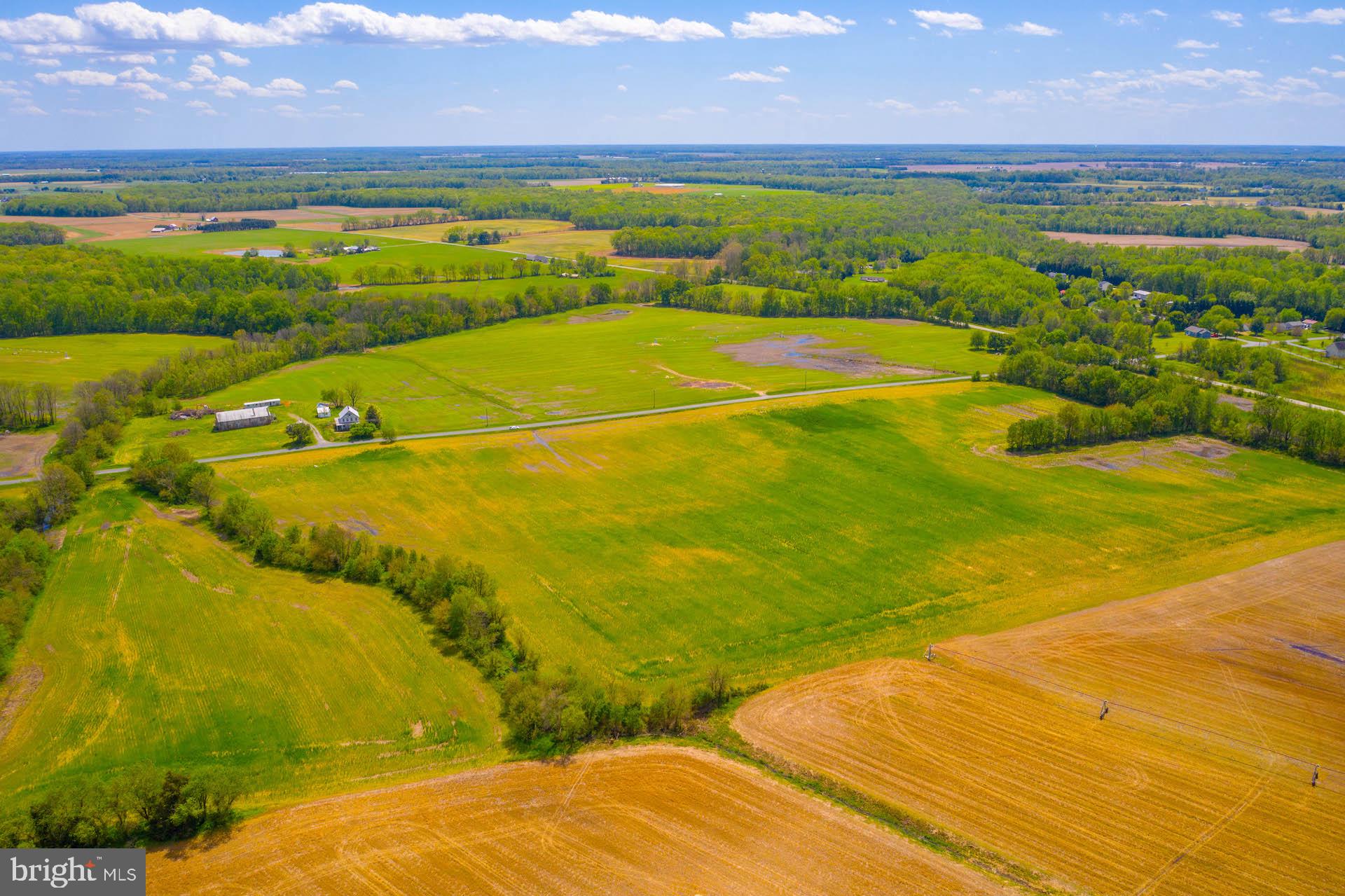 Lot 4 Murphy Road Centreville, MD 21617 - Photo 14 of 19 Gallery Image 14