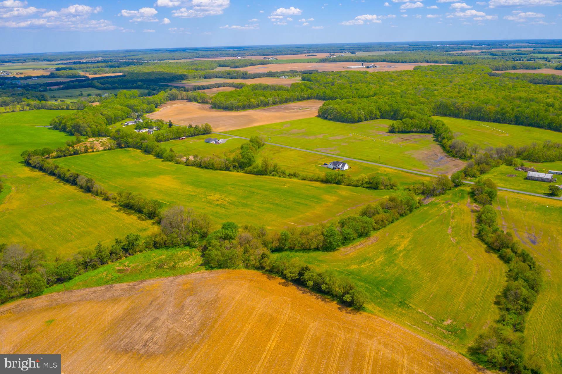 Lot 4 Murphy Road Centreville, MD 21617 - Photo 15 of 19 Gallery Image 15