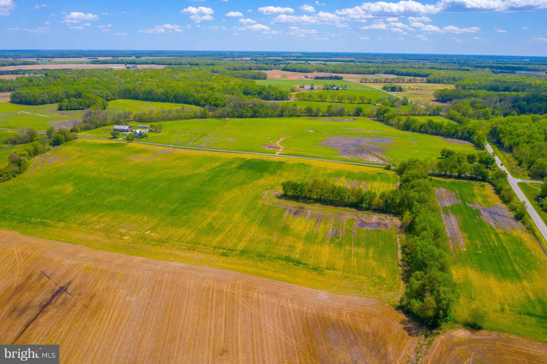 Lot 4 Murphy Road Centreville, MD 21617 - Photo 17 of 19 Gallery Image 17