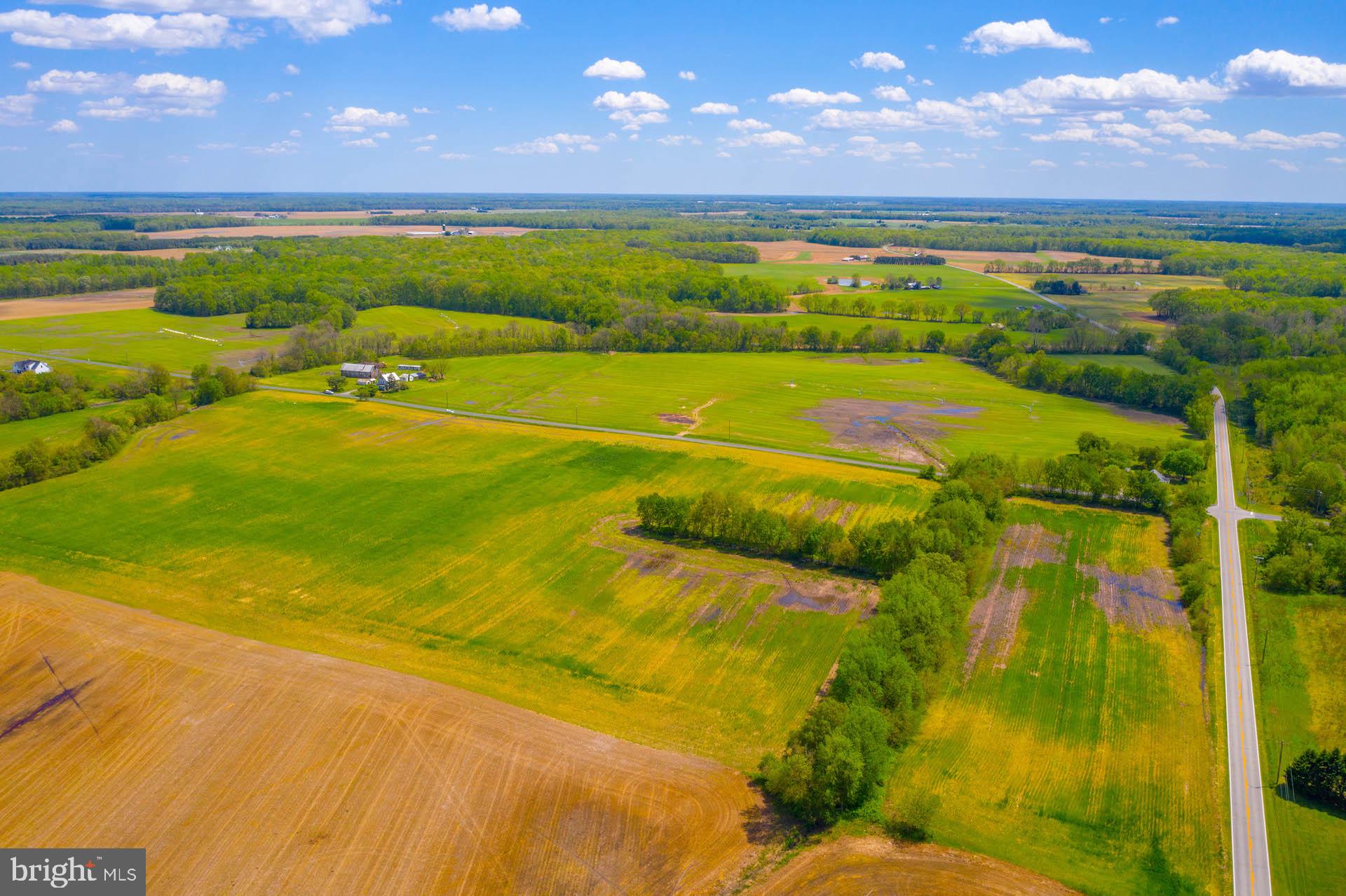 Lot 4 Murphy Road Centreville, MD 21617 - Photo 18 of 19 Gallery Image 18