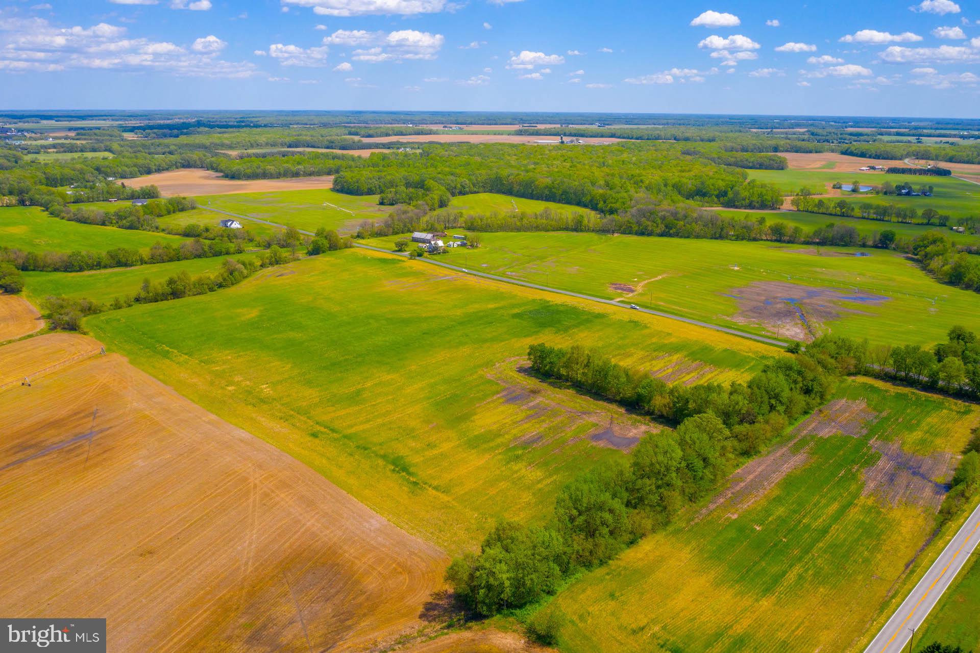 Lot 4 Murphy Road Centreville, MD 21617 - Photo 19 of 19 Gallery Image 19