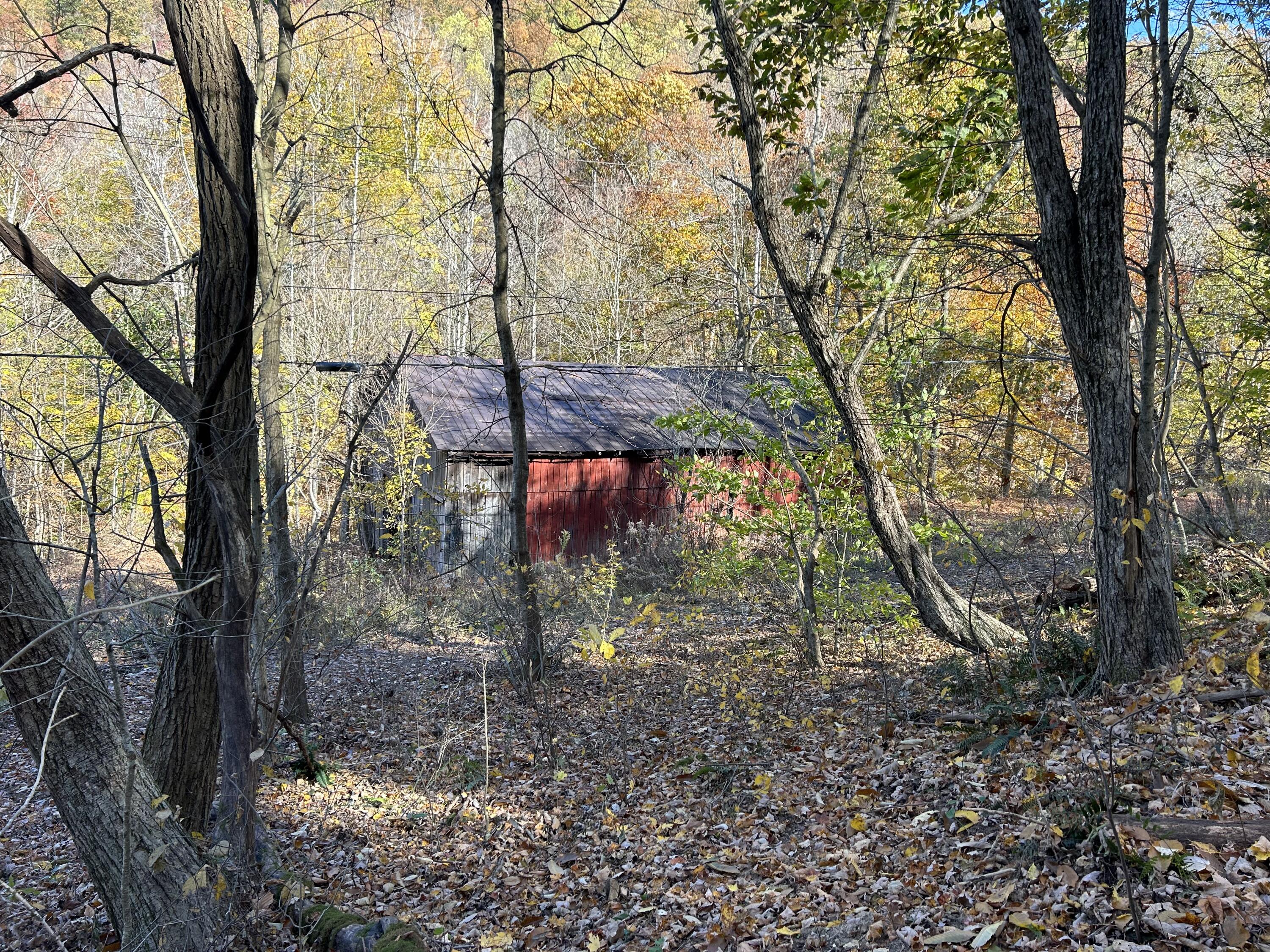 0 Gander Branch Road Vanceburg, KY 41179 - Photo 9 of 45 IMG_0174