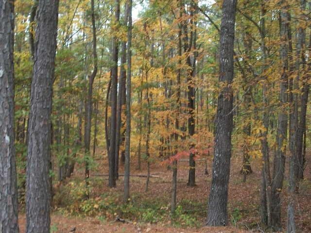 1056 Radio Springs Road Southwest Rome, GA 30165 - Photo 1 of 1 a backyard of a house with lots of trees