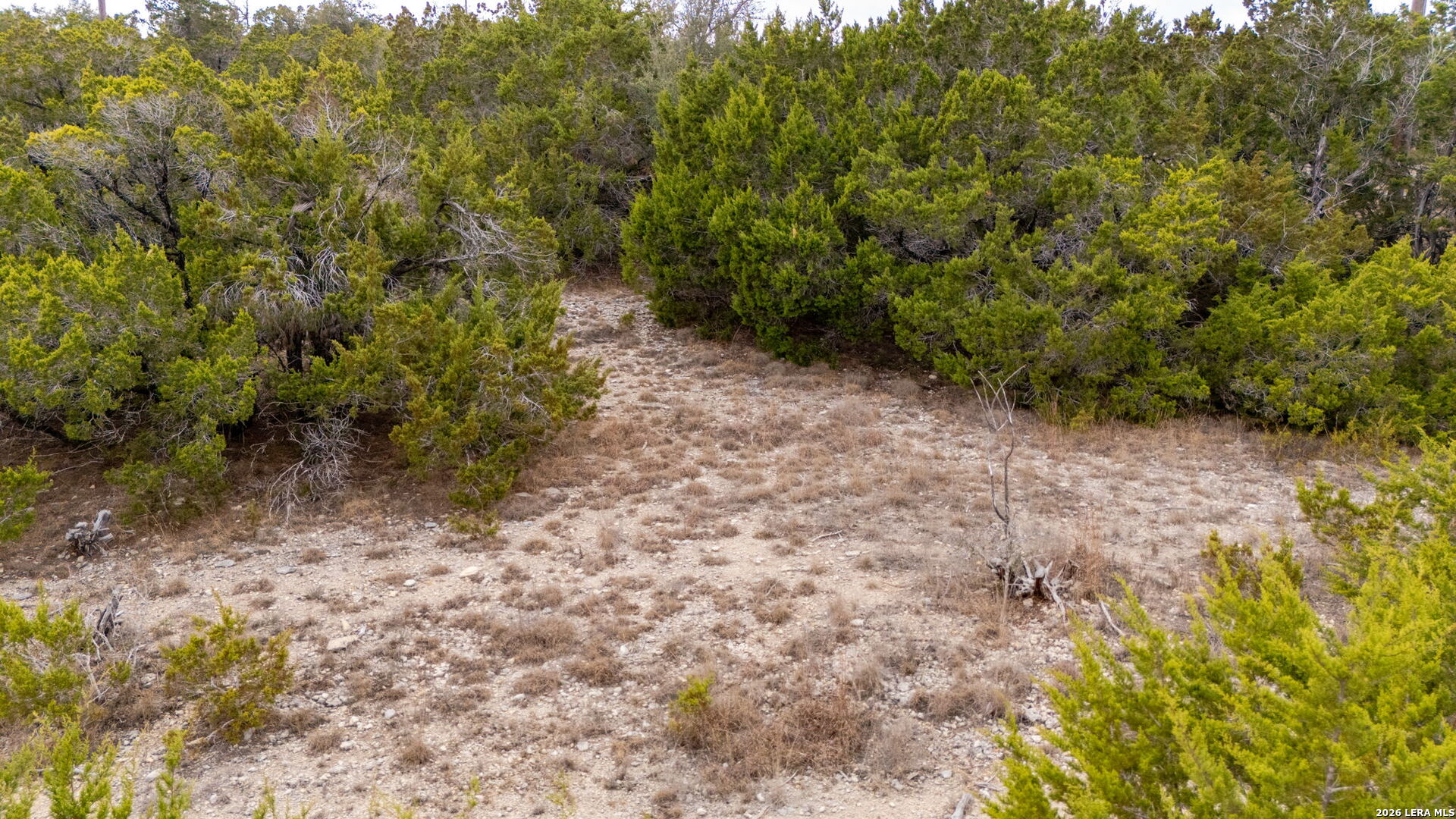 486 Thoroughbred Lane Spring Branch, TX 78070 - Photo 17 of 28