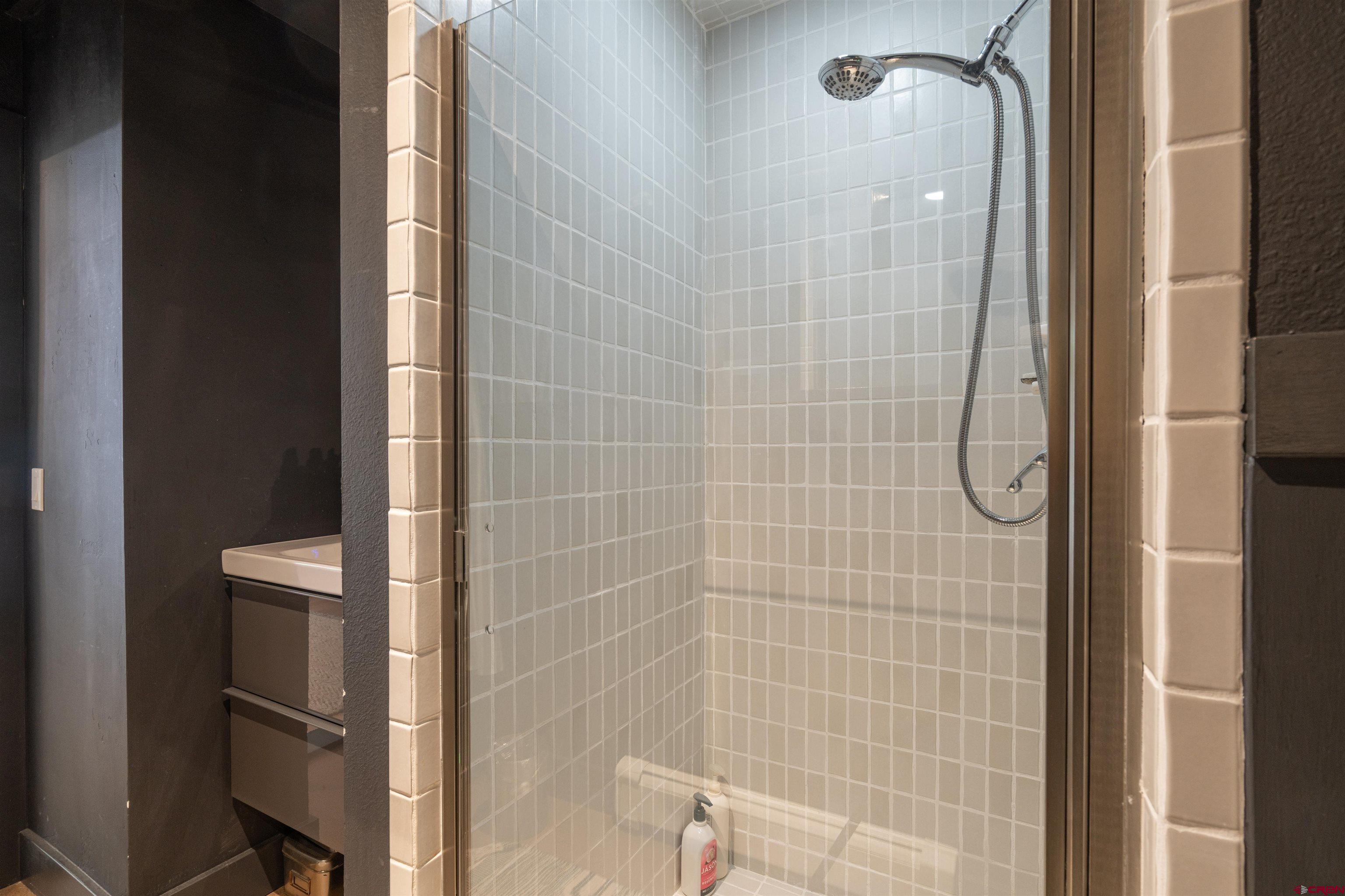 791 West Pacific Avenue, Unit 4H Telluride, CO 81435 - Photo 11 of 15 a bathroom with a shower