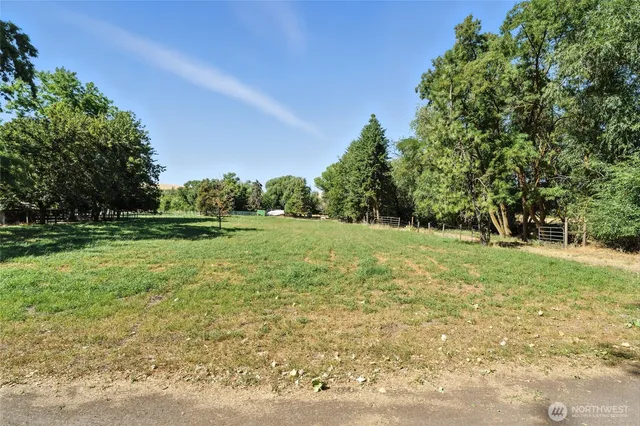 a view of outdoor space with deck and trees