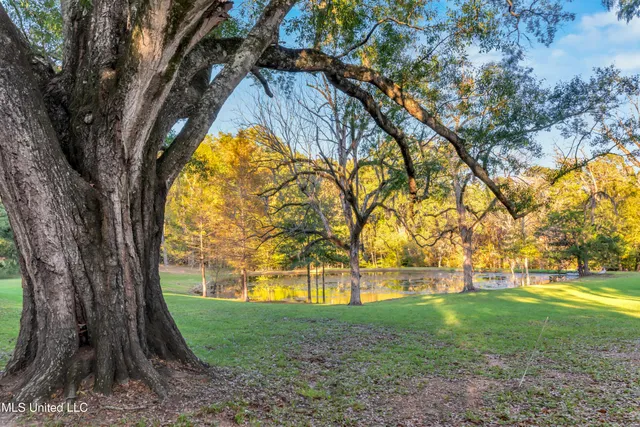 $975,000 | 109 Carmel Church Road, Natchez, MS 39120