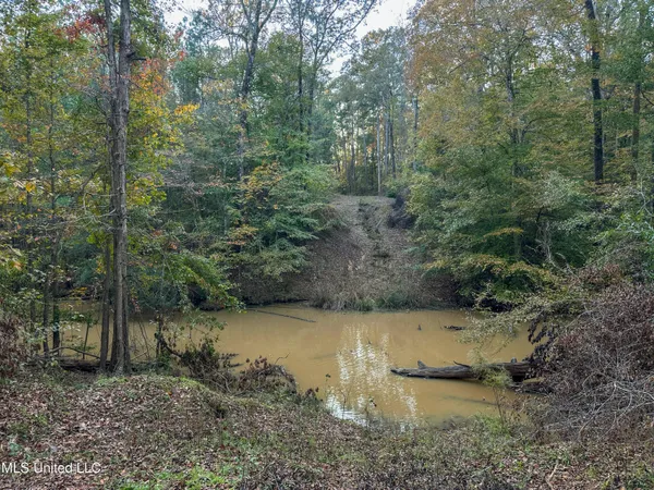 $975,000 | 109 Carmel Church Road, Natchez, MS 39120