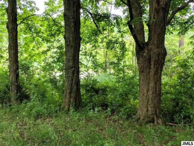 6945 Wright Road Jonesville, MI 49250 - Photo 35 of 36 201802170-34