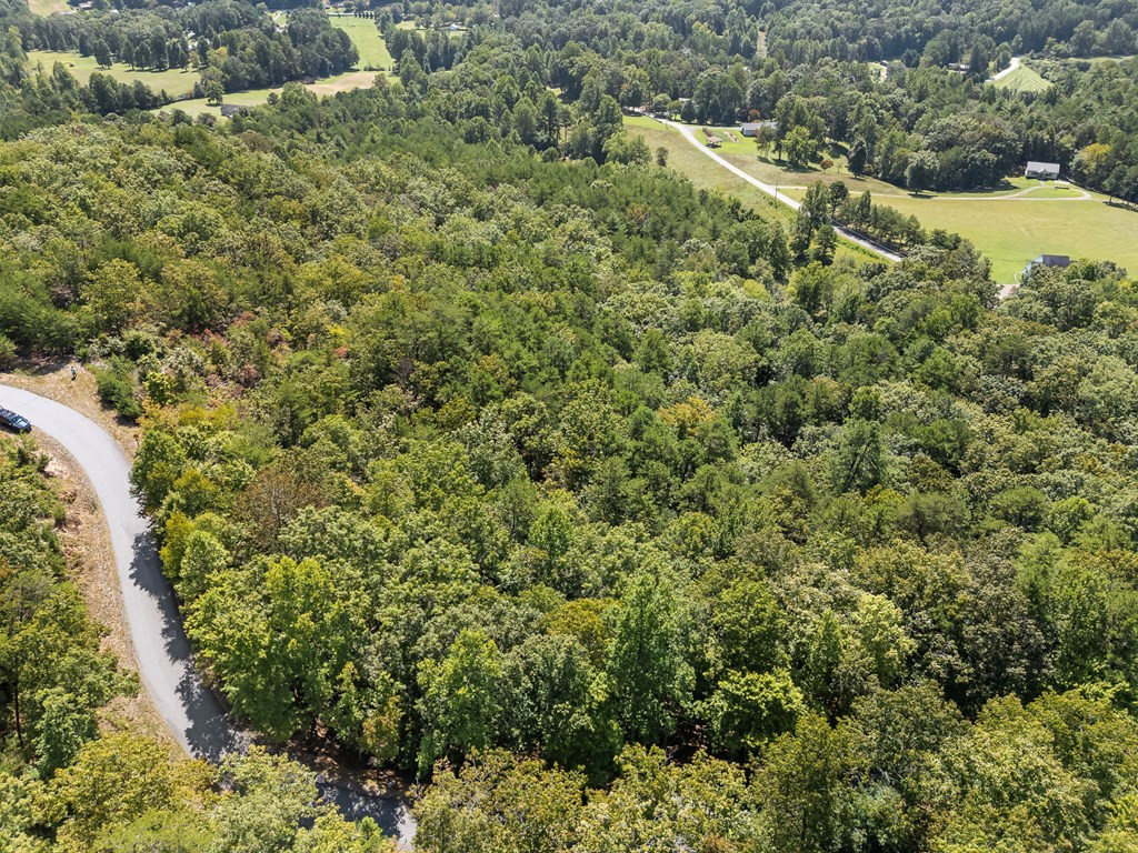 6.36 Bergan Moore Road Murphy, NC 28906 - Photo 3 of 24