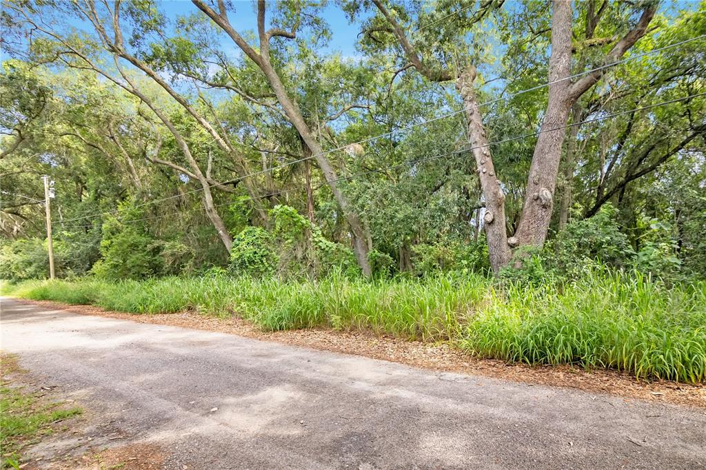 Avalon Road, Unit 53 Winter Garden, FL 34787 - Photo 8 of 24
