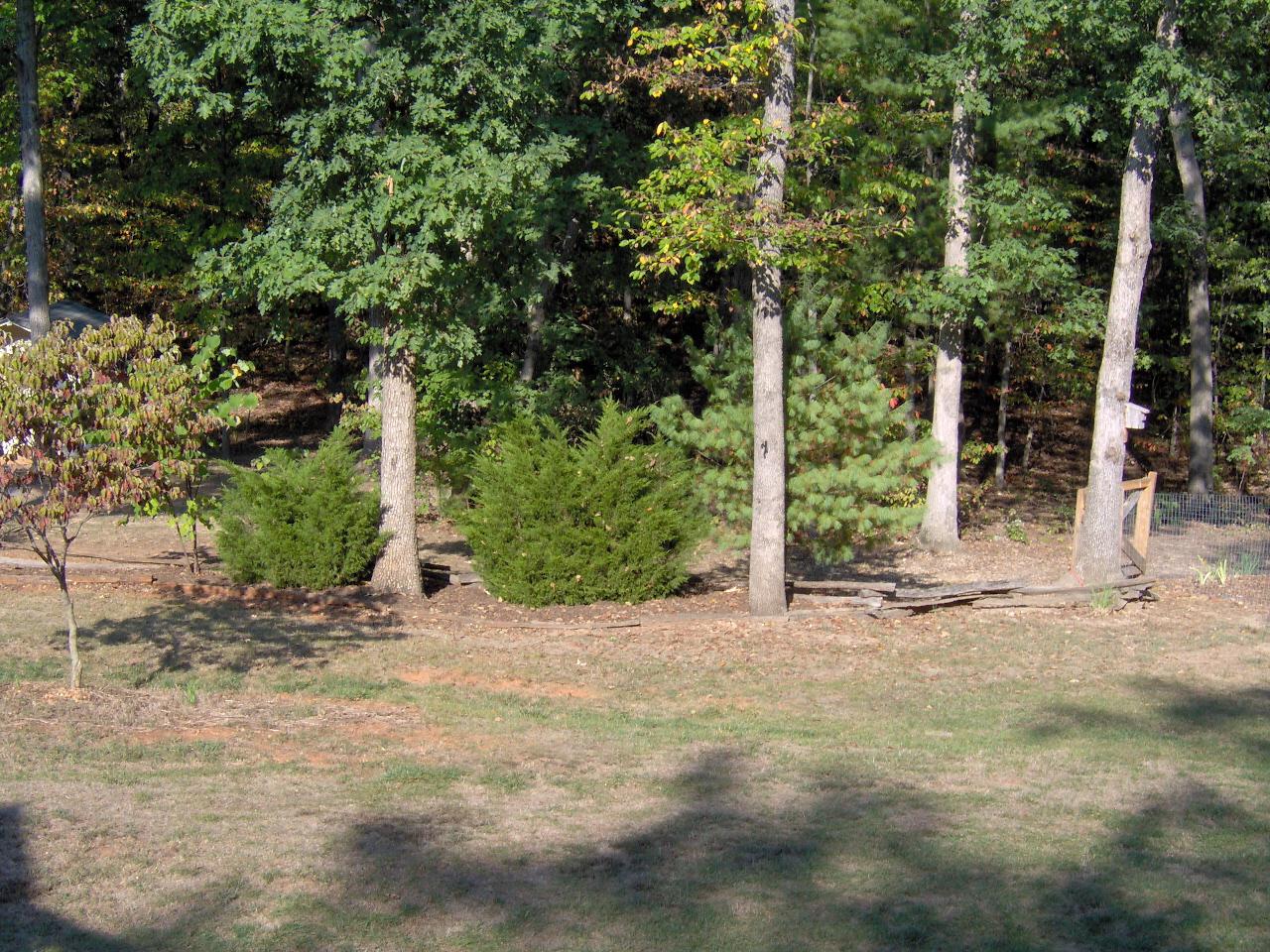 1080 Mead Valley Road Moneta, VA 24121 - Photo 4 of 9 Back Yard