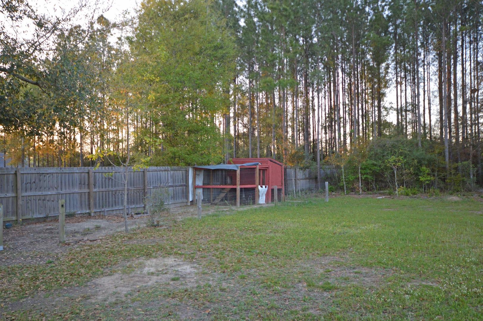 9970 Nichols Lake Road Milton, FL 32583 - Photo 45 of 48 a view of a small yard and large trees