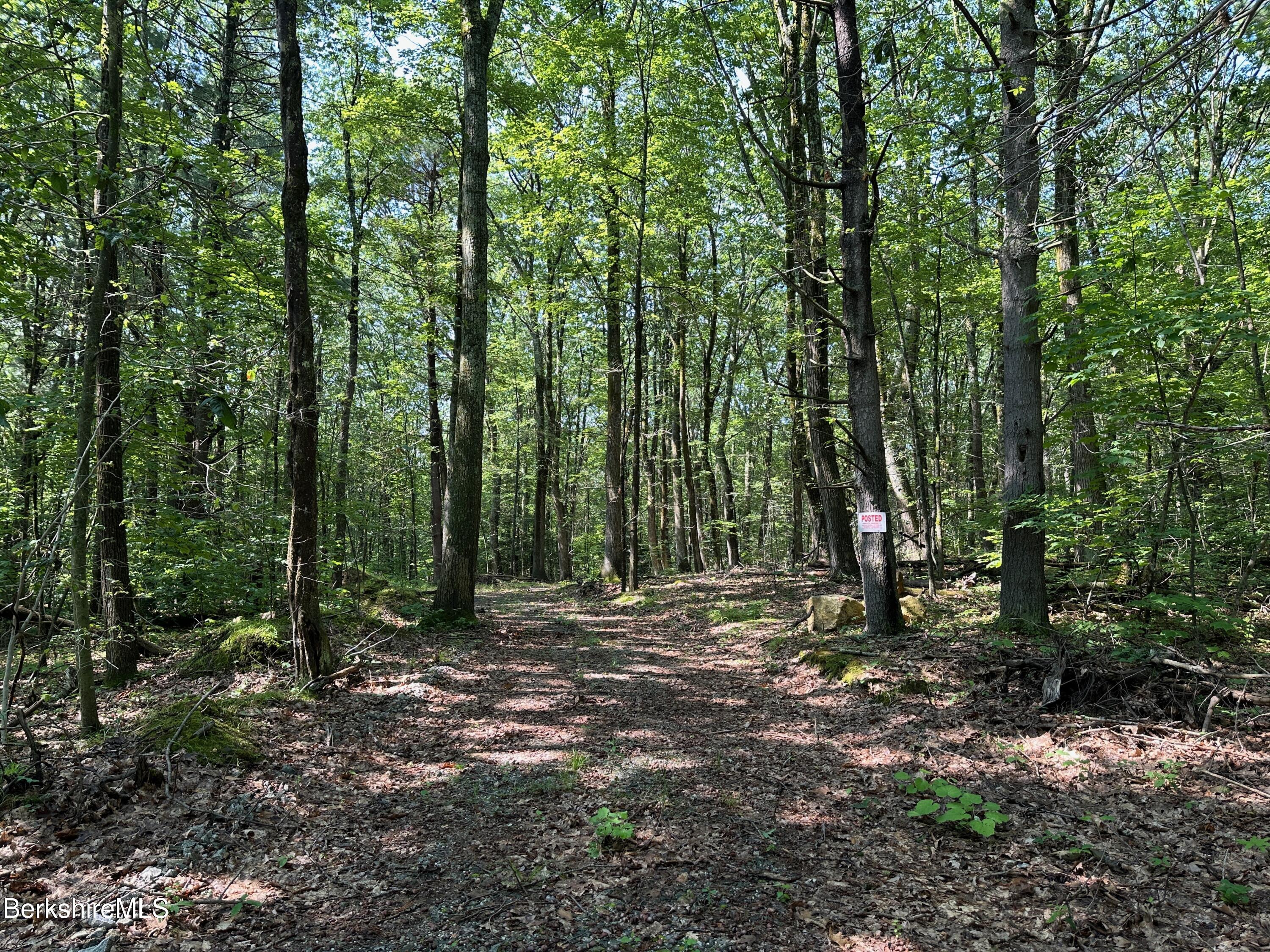 0 Cronk Road Sandisfield, MA 01255 - Photo 1 of 7 IMG_3703