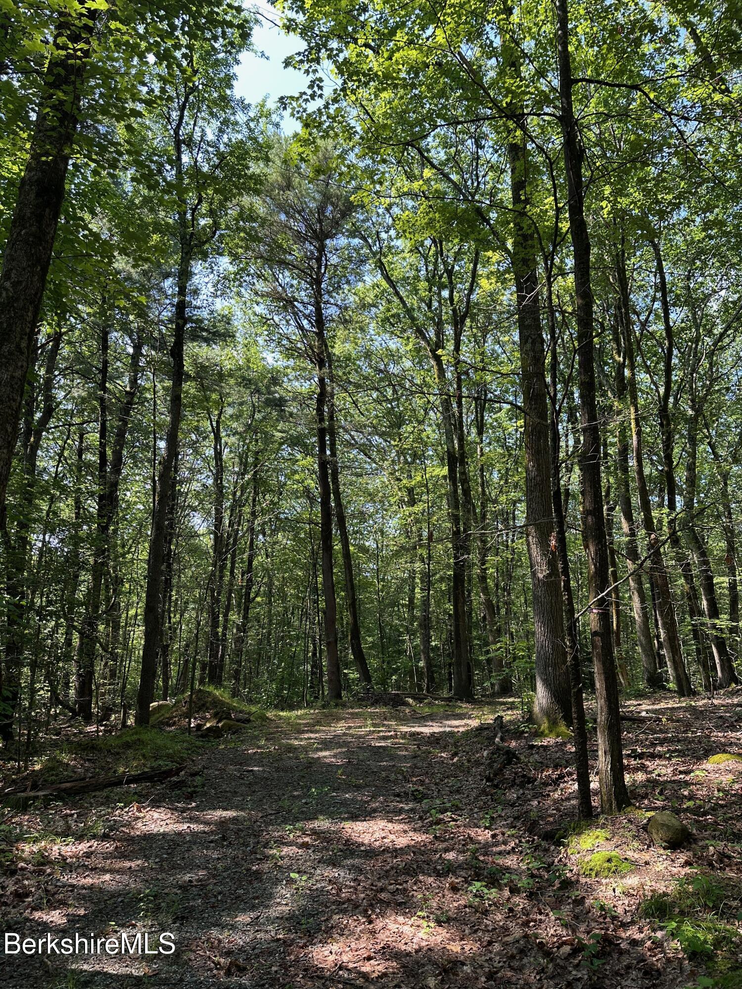 0 Cronk Road Sandisfield, MA 01255 - Photo 2 of 7 IMG_3702