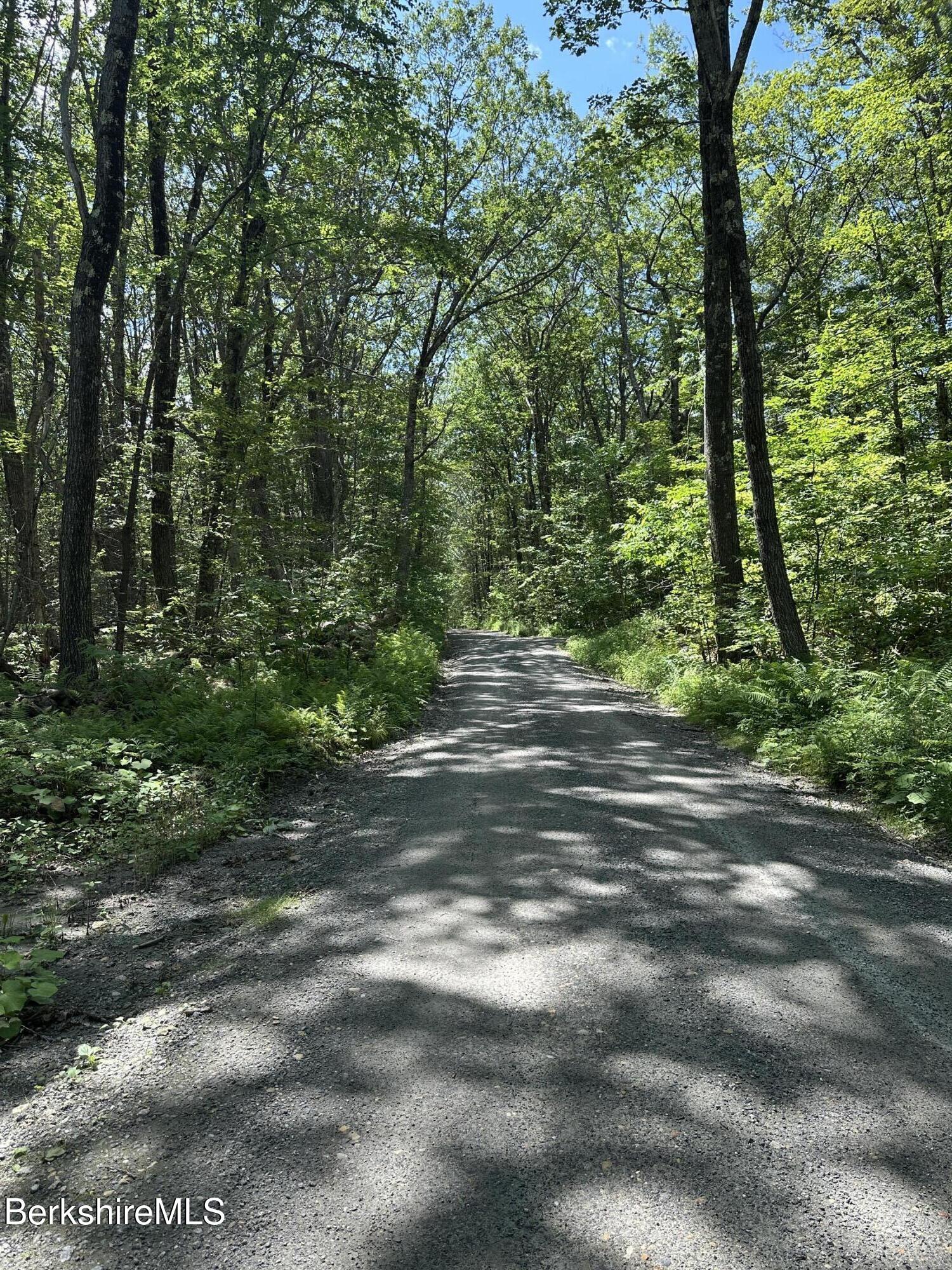 0 Cronk Road Sandisfield, MA 01255 - Photo 4 of 7 IMG_3710