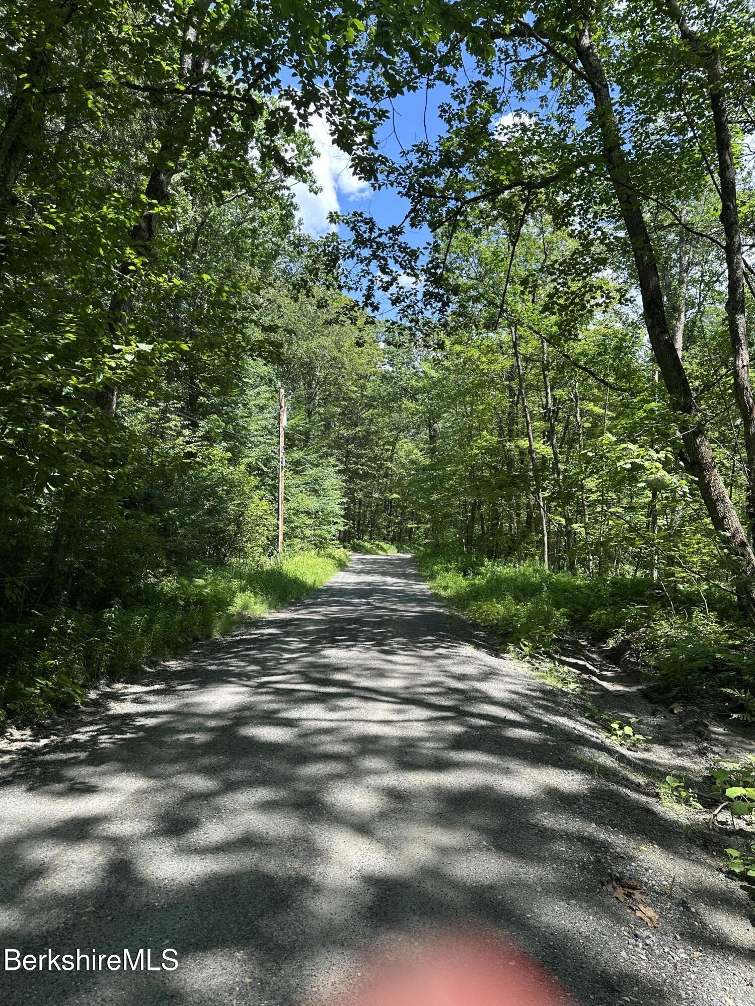 0 Cronk Road Sandisfield, MA 01255 - Photo 5 of 7 IMG_3709