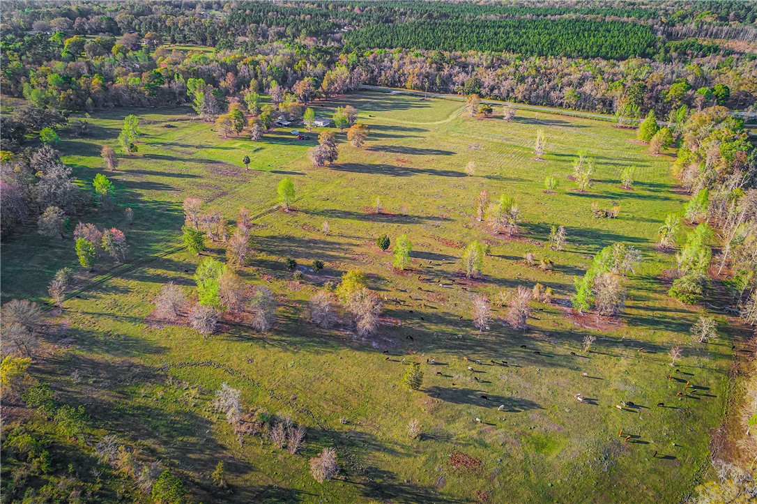 1 Henry Smith Road Hilliard, FL 32046 - Photo 7 of 18 Gallery Image 7