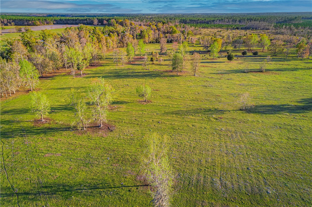 1 Henry Smith Road Hilliard, FL 32046 - Photo 10 of 18 Gallery Image 10