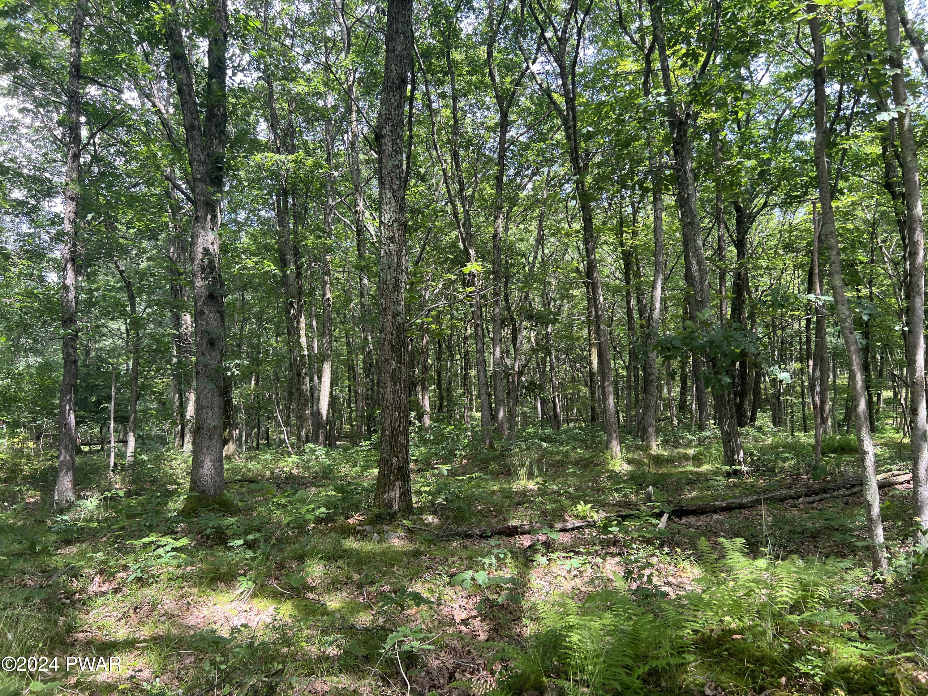 Bloss Road Canadensis, PA 18325 - Photo 9 of 21 Flat lot