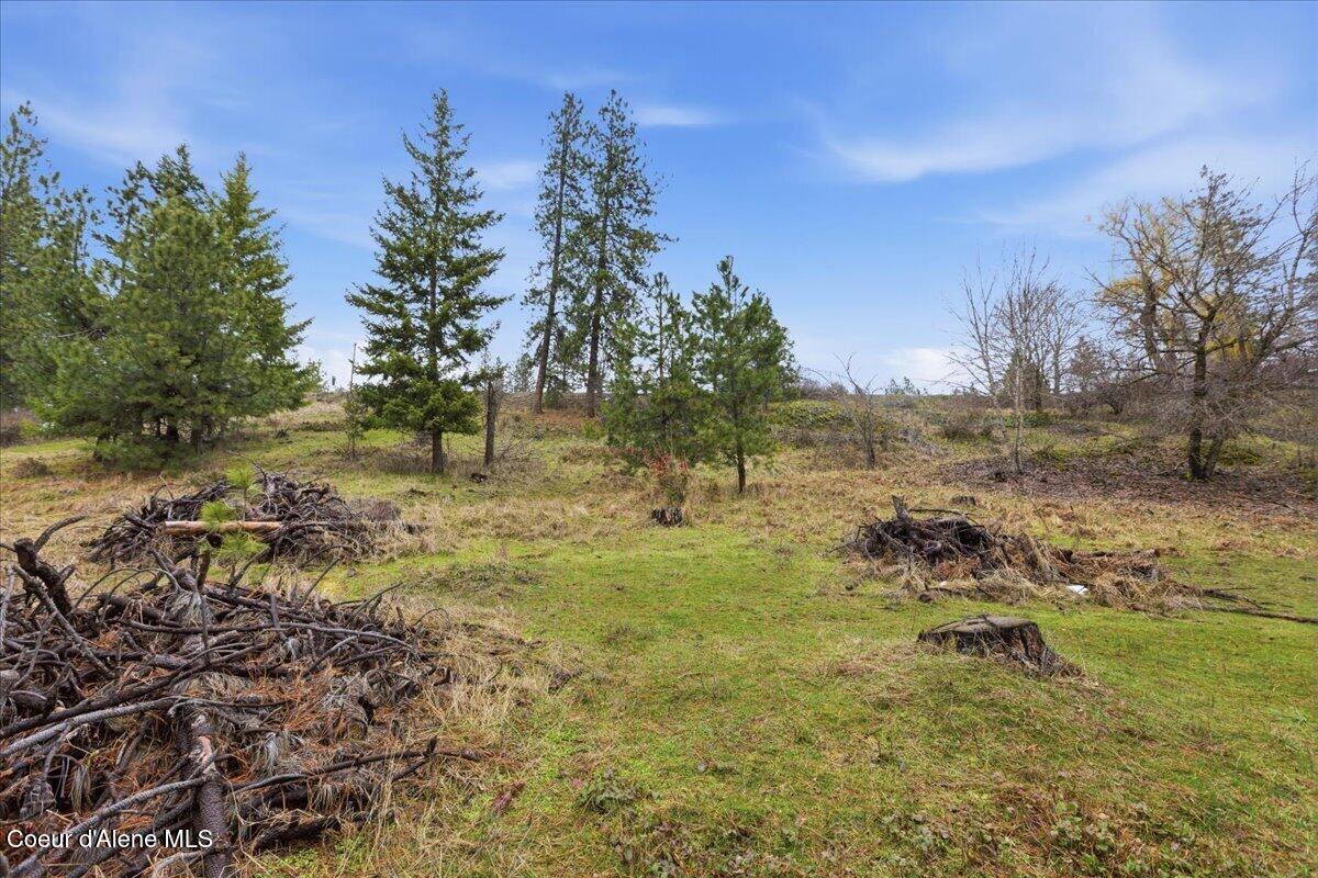2594 East Fernan Hill Road Coeur D'Alene, ID 83814 - Photo 17 of 21 17-2594 E Fernan Hill Rd_RedHogMedia
