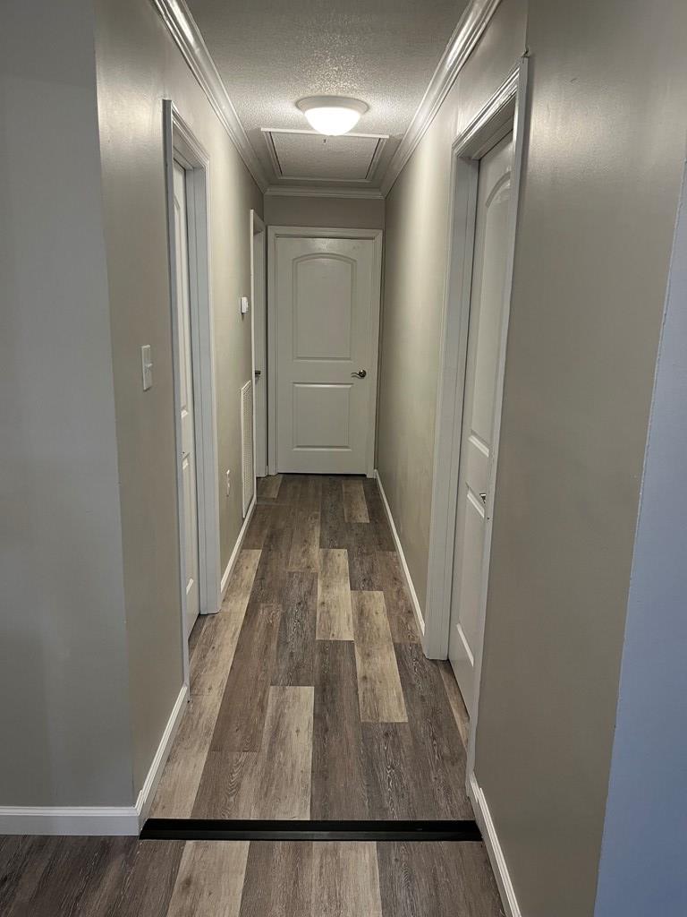 830 Chattanooga Road Cohutta, GA 30710 - Photo 10 of 20 Gallery Image 10