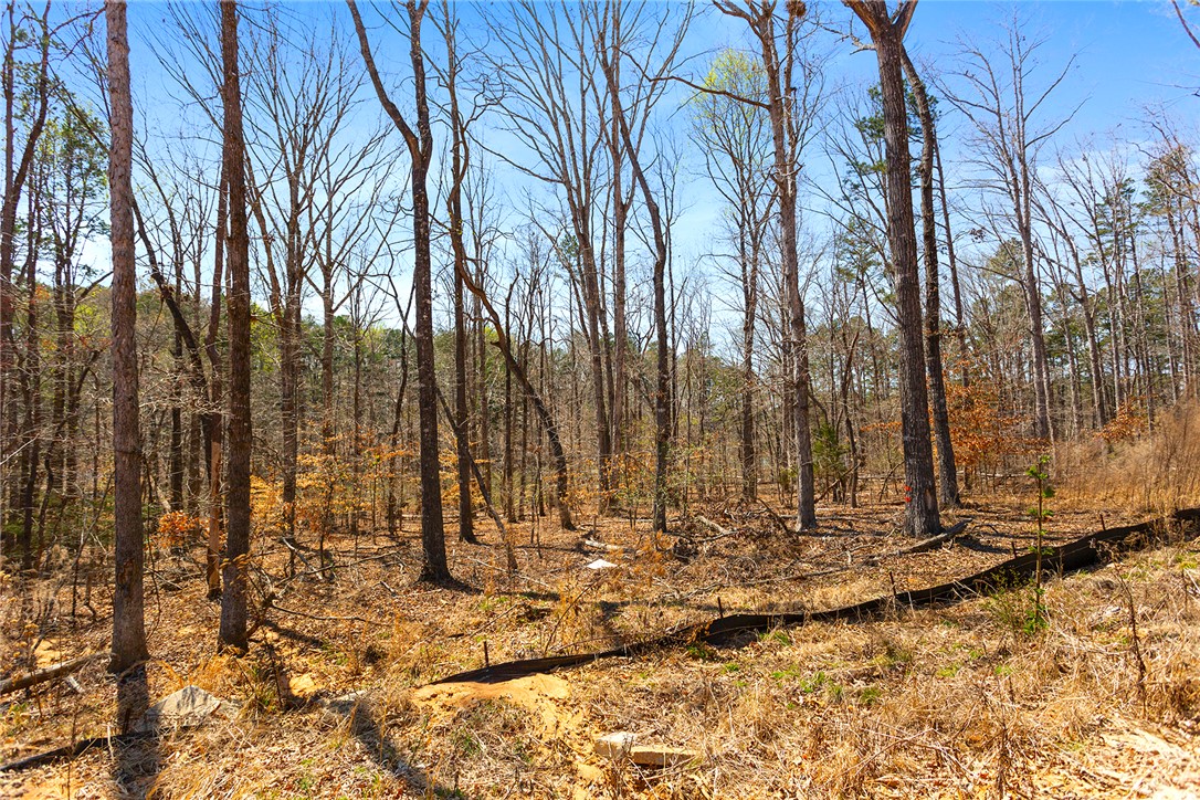 605 Elizabeth (lot 2) Road Westminster, SC 29693 - Photo 11 of 12