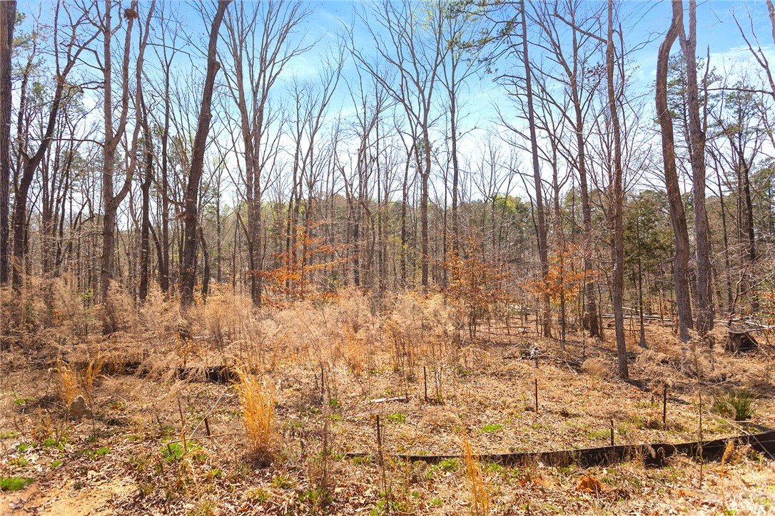 605 Elizabeth (lot 2) Road Westminster, SC 29693 - Photo 12 of 12